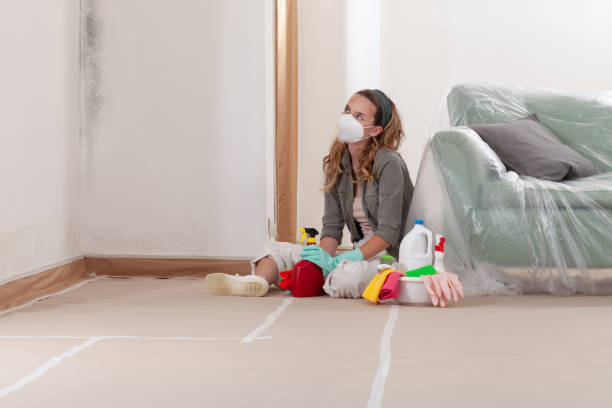 Reliable Mold Remediation contractor in Sparks Glencoe, MD by WQB Mold Removal